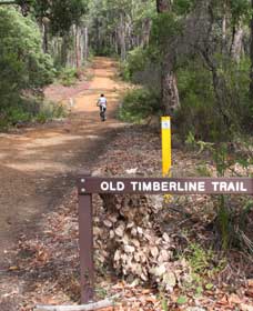 East Nannup WA Accommodation Mount Tamborine