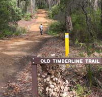 Old Timberline and Sidings Rail Trails - Accommodation Mount Tamborine