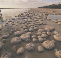 Lake Clifton Thrombolites - Accommodation Mount Tamborine