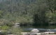 Wellington Discovery Forest - thumb 0