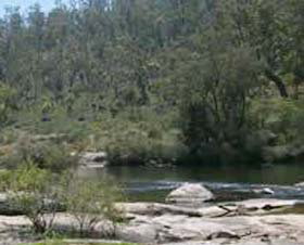 Wellington Discovery Forest - Accommodation Mount Tamborine 0