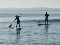 Jervis Bay Stand Up Paddle - Accommodation Mount Tamborine 1
