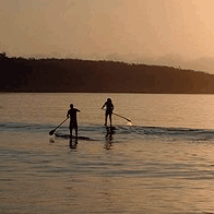 Jervis Bay Stand Up Paddle - Accommodation Mount Tamborine 2