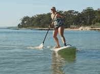Jervis Bay Stand Up Paddle - Accommodation Mount Tamborine 4