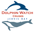 Dolphin Watch Cruises - Accommodation Mount Tamborine 2