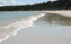 Dolphin Watch Cruises - thumb 5