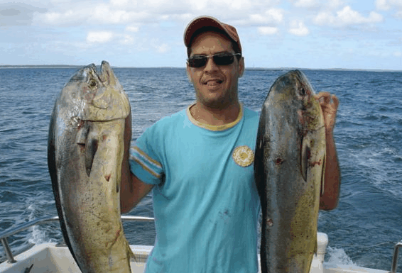Jervis Bay Fishing and Charters - Accommodation Mount Tamborine