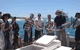 Jervis Bay Fishing And Charters - thumb 3