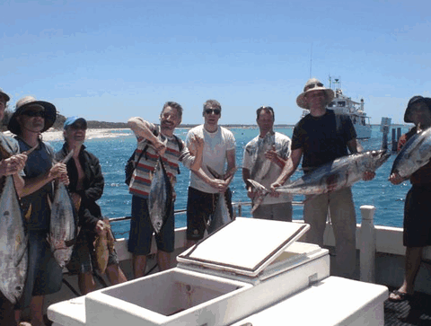 Jervis Bay Fishing And Charters - Accommodation Mount Tamborine 3