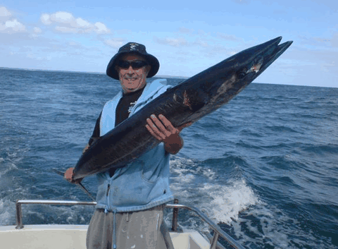Jervis Bay Fishing And Charters - Accommodation Mount Tamborine 4