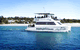 Dolphin Wild Cruises - thumb 1