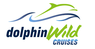 Dolphin Wild Cruises - Accommodation Mount Tamborine 4