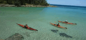 Jervis Bay Kayak & Paddlesports - Accommodation Mount Tamborine 4