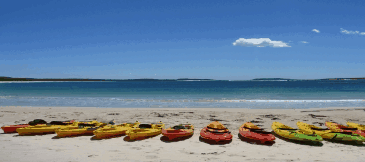 Jervis Bay Kayak & Paddlesports - Accommodation Mount Tamborine 5
