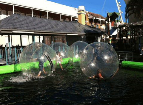 Aussie Waterballs - Accommodation Mount Tamborine 0