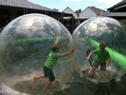 Aussie Waterballs - Accommodation Mount Tamborine 1