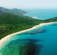 Jungle Tours and Trekking - Accommodation Mount Tamborine