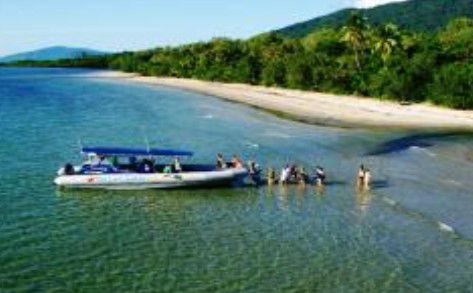 Cape Tribulation QLD Accommodation Mount Tamborine