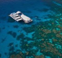 Great Adventures Reef and Green Island Cruises - Accommodation Mount Tamborine