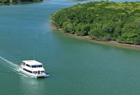 Cairns Harbour Cruises - Accommodation Mount Tamborine 3