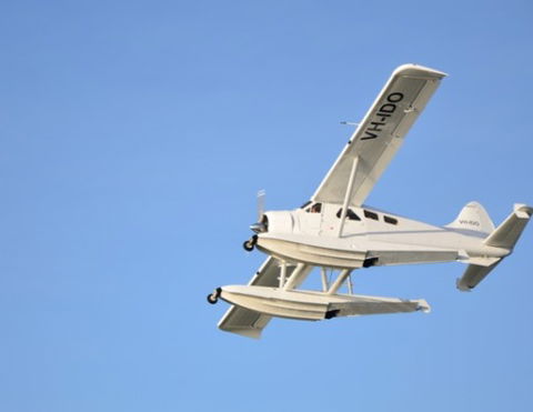 Cairns Seaplanes - Accommodation Mount Tamborine 4