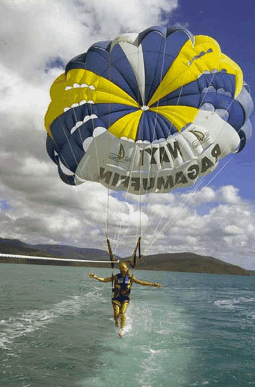 Island Parasail - Accommodation Mount Tamborine 2