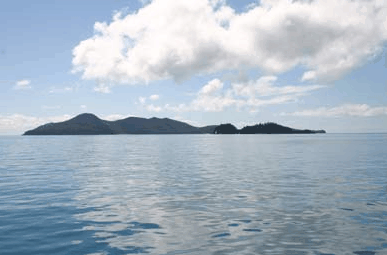 Whitehaven Xpress Whitehaven Beach Tours - Accommodation Mount Tamborine 2