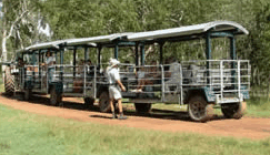 Whitsunday Crocodile Safari - Accommodation Mount Tamborine 2