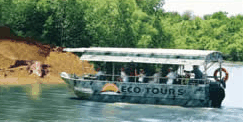 Whitsunday Crocodile Safari - Accommodation Mount Tamborine 3