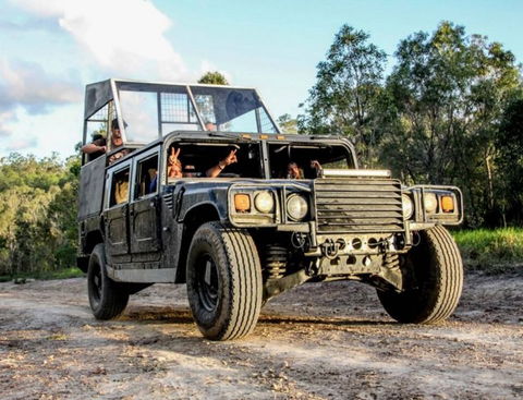 International Coaches And Tours - Accommodation Mount Tamborine 2