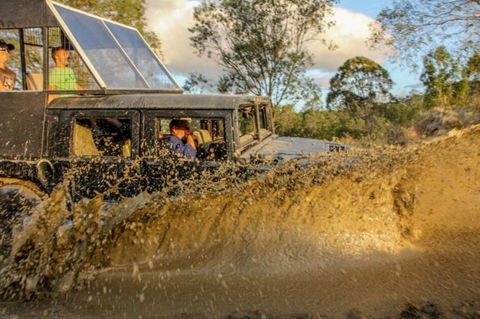 International Coaches And Tours - Accommodation Mount Tamborine 4