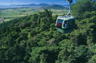 Tropic Wings Coach Tours - Accommodation Mount Tamborine 2