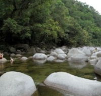 Tropical Horizons Tours - Accommodation Mount Tamborine