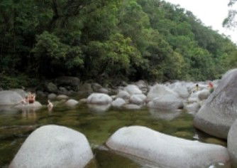 Tropical Horizons Tours - Accommodation Mount Tamborine 0