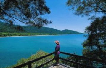 Tropical Horizons Tours - Accommodation Mount Tamborine 2