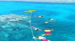 Reef Jet Cruises - Accommodation Mount Tamborine 3