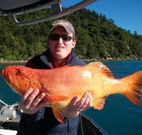 Gone Fishing by Coral Sea Fishing Charters Airlie Beach - Accommodation Mount Tamborine