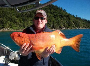 Gone Fishing By Coral Sea Fishing Charters Airlie Beach - Accommodation Mount Tamborine 0