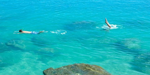 Salty Dog Sea Kayaking - Accommodation Mount Tamborine 1