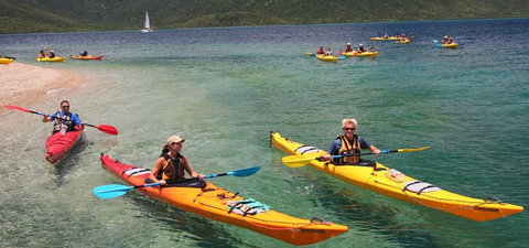Salty Dog Sea Kayaking - Accommodation Mount Tamborine 2