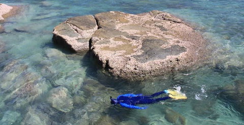 Salty Dog Sea Kayaking - Accommodation Mount Tamborine 6