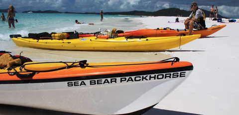 Salty Dog Sea Kayaking - Accommodation Mount Tamborine 8