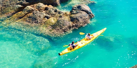 Salty Dog Sea Kayaking - Accommodation Mount Tamborine 9
