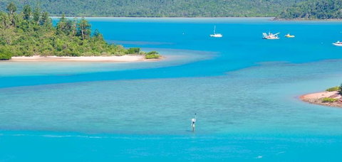 Salty Dog Sea Kayaking - Accommodation Mount Tamborine 10