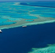 Cruise Whitsundays - Accommodation Mount Tamborine