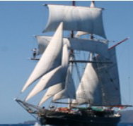 Adventure Catamarans Dive and Sail - Accommodation Mount Tamborine