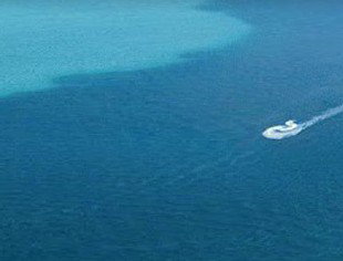 Adventure Moreton Island - Accommodation Mount Tamborine 0