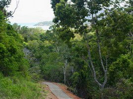 The Airlie Creek Track - Accommodation Mount Tamborine 1