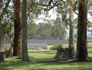 Broadwater QLD Accommodation Mount Tamborine