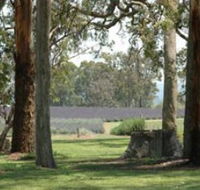 Aloomba Lavender - Accommodation Mount Tamborine